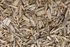biomass boilers Dittons